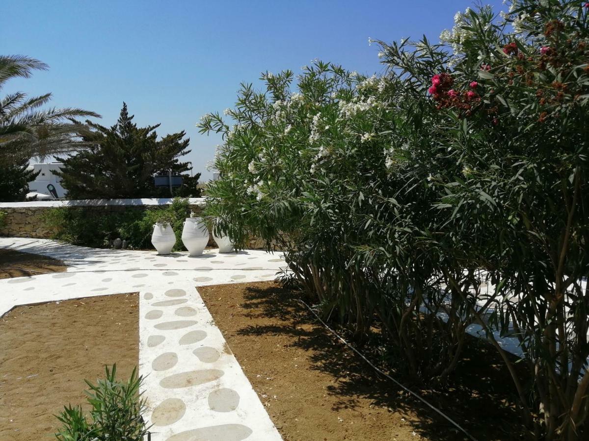 Geranium Residence Adults Only Mykonos Town ห้อง รูปภาพ